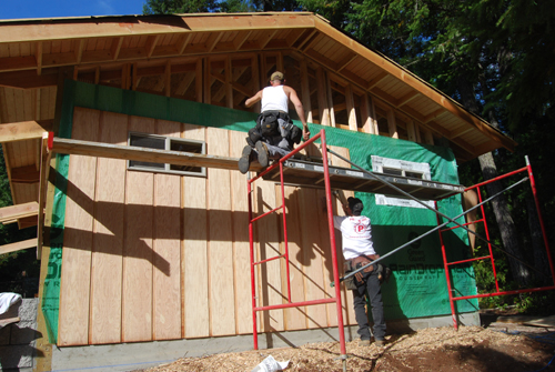 exterior plywood goes up