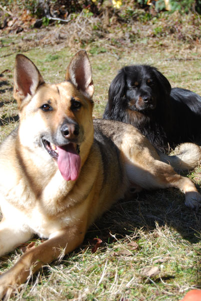 Jocko and Thibodeaux take a breather