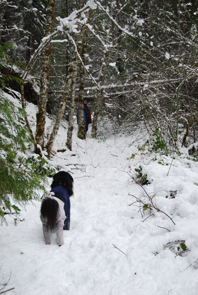 A dog out for a stroll in the snow