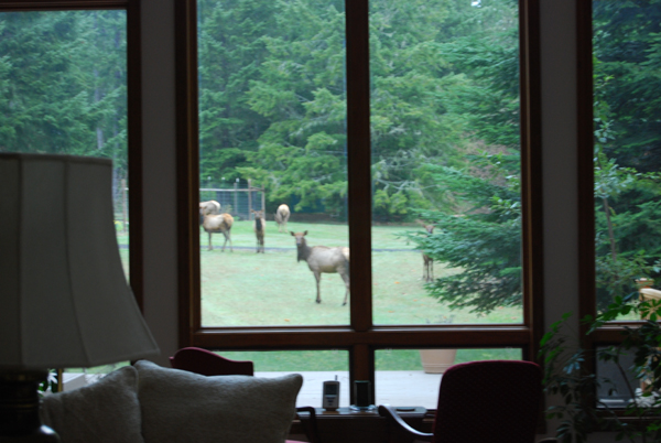 A view out our front windows.