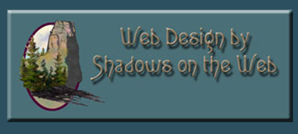 Shadows on the Web 